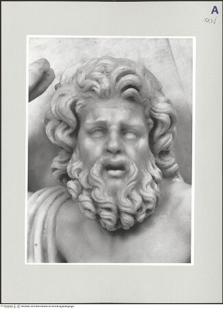 Vorderseite von bh552845_recto