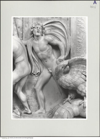 Vorderseite von bh552852_recto