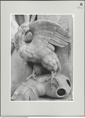 Vorderseite von bh552856_recto