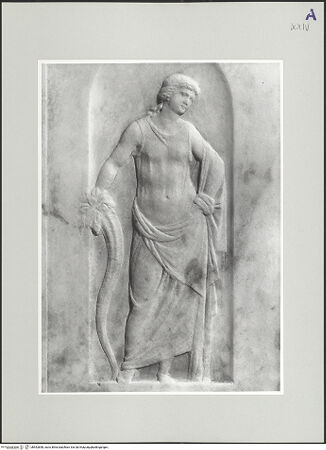 Vorderseite von bh552858_recto