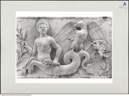 Vorderseite von bh552860_recto