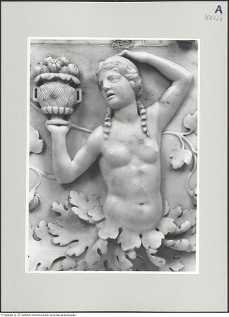 Vorderseite von bh552864_recto