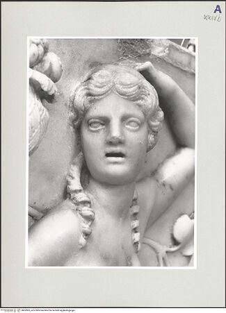 Vorderseite von bh552865_recto