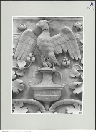 Vorderseite von bh552866_recto