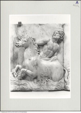 Vorderseite von bh552870_recto