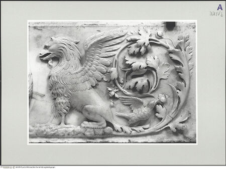 Vorderseite von bh552873_recto