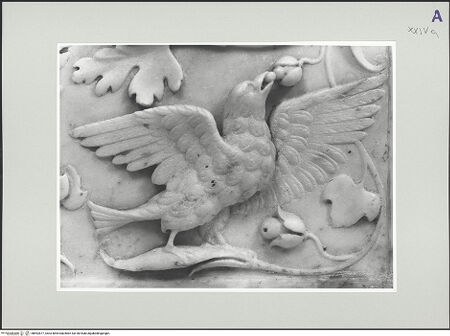 Vorderseite von bh552877_recto