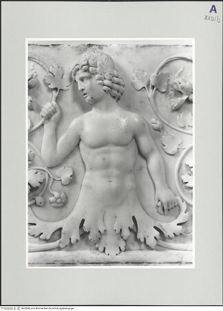 Vorderseite von bh552880_recto