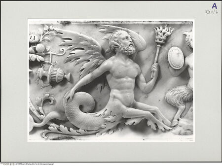 Vorderseite von bh552884_recto