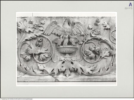 Vorderseite von bh552888_recto