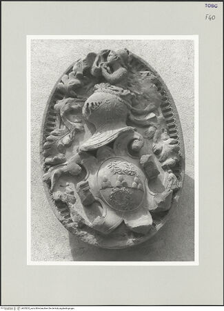 Vorderseite von bh553232_recto