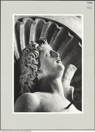 Vorderseite von bh553263_recto