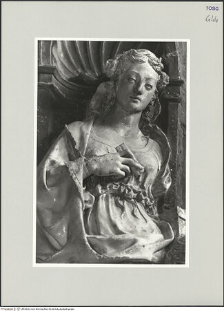 Vorderseite von bh553282_recto