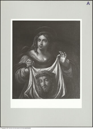 Vorderseite von bh553404_recto