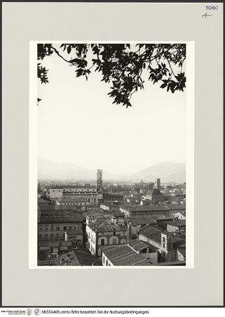 Vorderseite von bh553469_recto