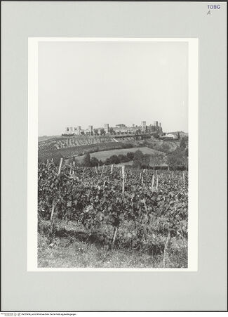 Vorderseite von bh553496_recto