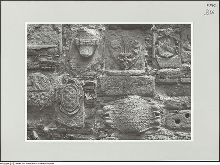 Vorderseite von bh553559_recto