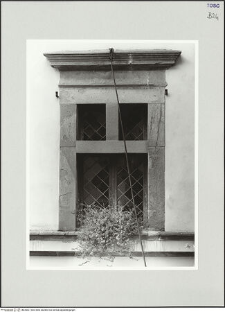 Vorderseite von bh553637_recto