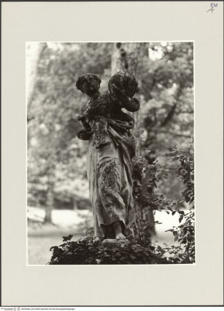 Vorderseite von bh553686_recto