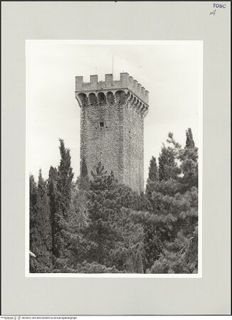 Vorderseite von bh554425_recto