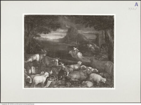 Vorderseite von bh554692_recto