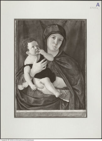 Vorderseite von bh554696_recto