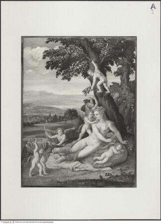 Vorderseite von bh554740_recto