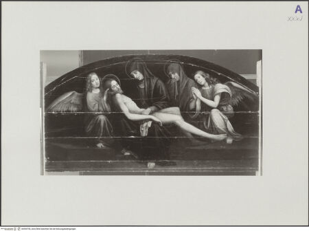 Vorderseite von bh554750_recto