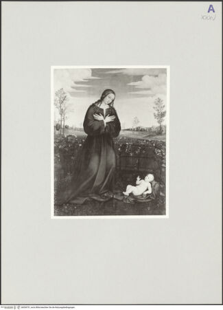 Vorderseite von bh554751_recto