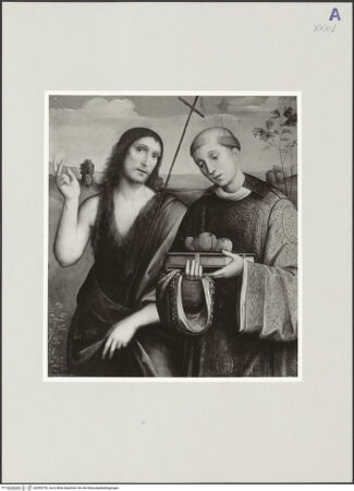 Vorderseite von bh554752_recto