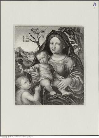 Vorderseite von bh554762_recto