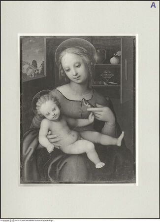 Vorderseite von bh554774_recto