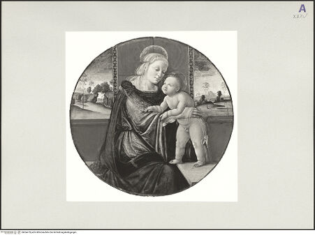 Vorderseite von bh554779_recto