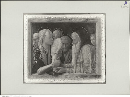 Vorderseite von bh554781_recto