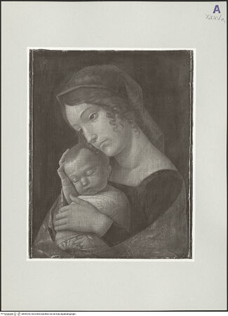 Vorderseite von bh554783_recto