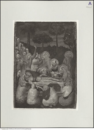 Vorderseite von bh554853_recto