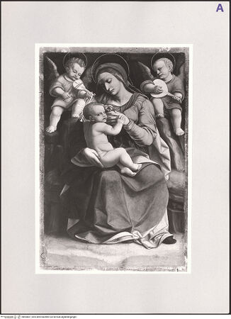 Vorderseite von bh554857_recto