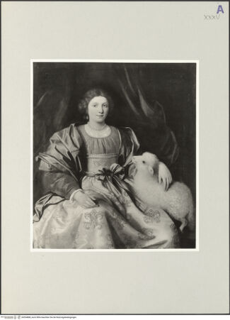 Vorderseite von bh554888_recto