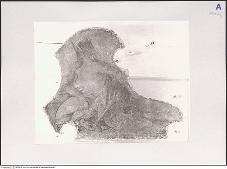 Vorderseite von bh554938_recto