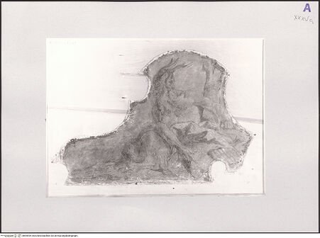 Vorderseite von bh554939_recto