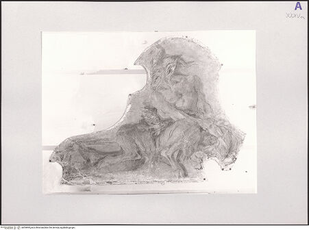 Vorderseite von bh554943_recto