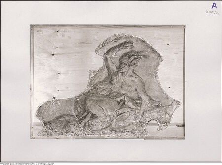 Vorderseite von bh554945_recto