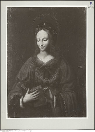 Vorderseite von bh554954_recto