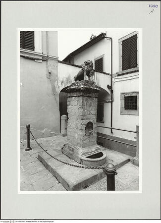 Vorderseite von bh554996_recto