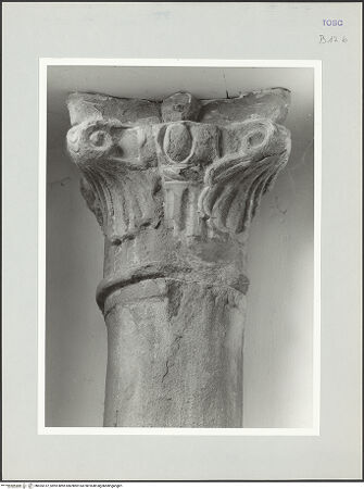 Vorderseite von bh555157_recto