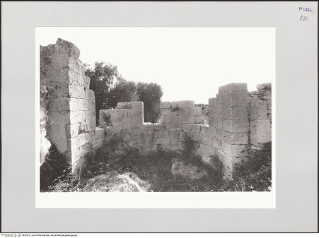 Vorderseite von bh555191_recto