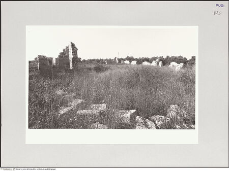 Vorderseite von bh555193_recto