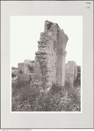 Vorderseite von bh555197_recto