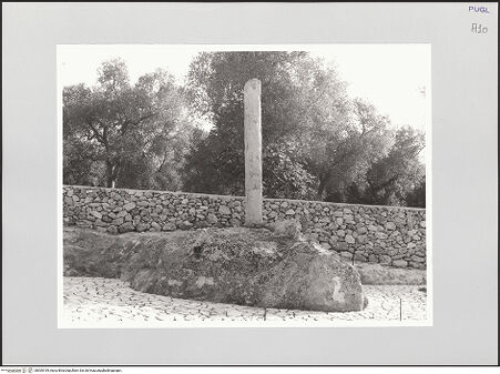 Vorderseite von bh555199_recto