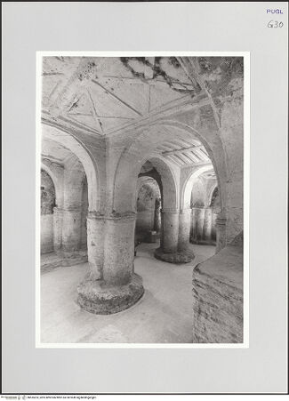 Vorderseite von bh555203_recto